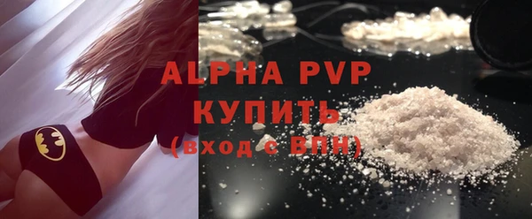 стафф Алексин