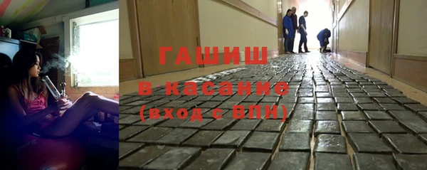 стафф Алексин
