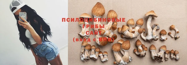 a pvp Алзамай