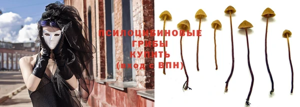 крисы Абаза