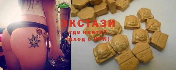 стафф Алексин