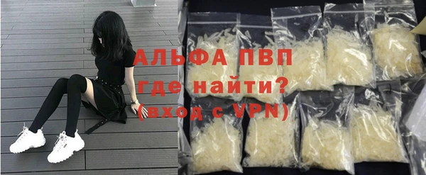 стафф Алексин