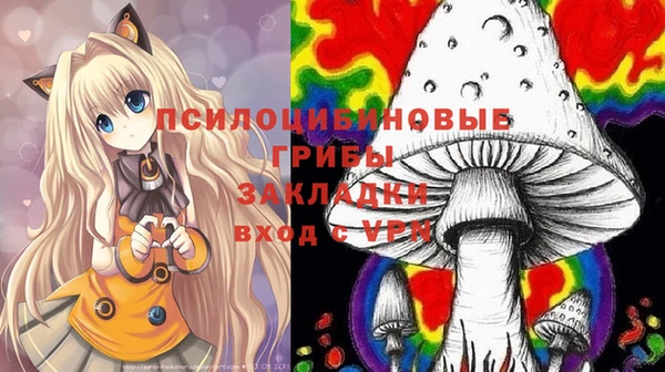 стафф Алексин